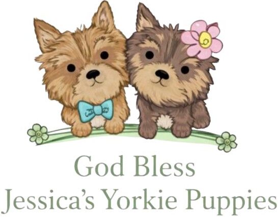 godblessjessicasyorkiepuppies.com